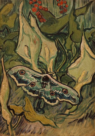 efraa von Vincent van Gogh